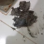 Foto 34